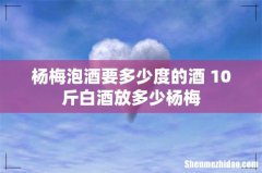 杨梅泡酒要多少度的酒 10斤白酒放多少杨梅