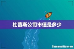杜蕾斯公司市值是多少