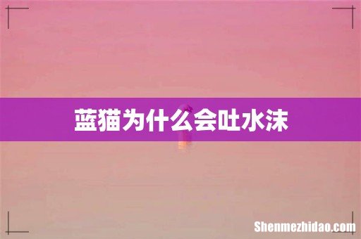 蓝猫为什么会吐水沫