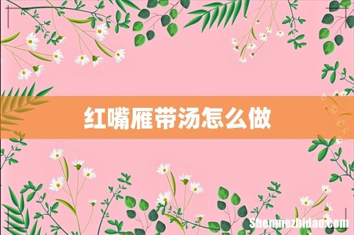 红嘴雁带汤怎么做