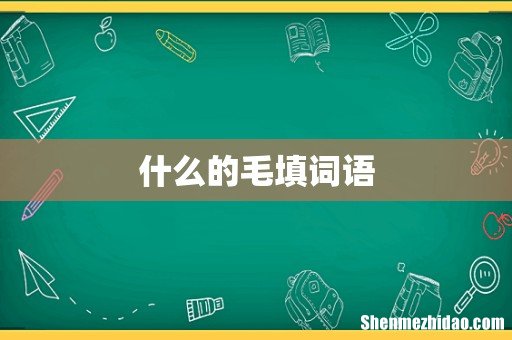 什么的毛填词语