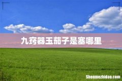 九窍器玉茄子是塞哪里
