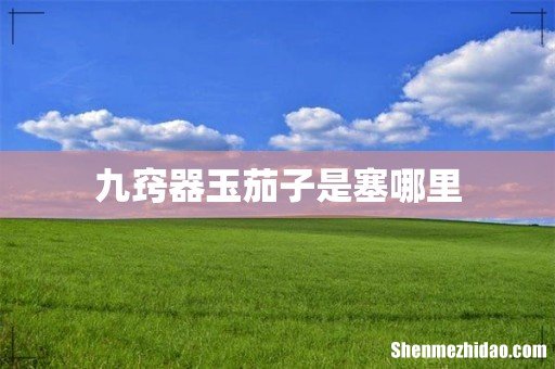 九窍器玉茄子是塞哪里
