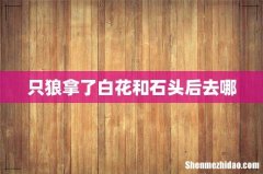 只狼拿了白花和石头后去哪