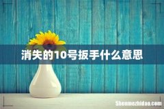 消失的10号扳手什么意思
