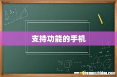 支持功能的手机