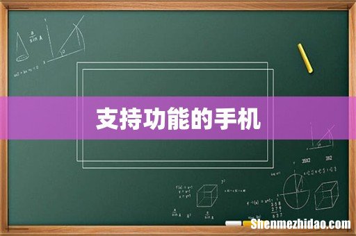 支持功能的手机
