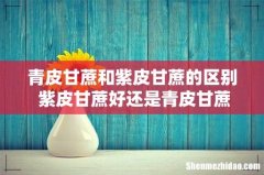 青皮甘蔗和紫皮甘蔗的区别 紫皮甘蔗好还是青皮甘蔗好