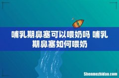 哺乳期鼻塞可以喂奶吗 哺乳期鼻塞如何喂奶