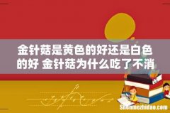 金针菇是黄色的好还是白色的好 金针菇为什么吃了不消化