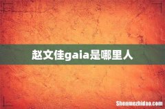 赵文佳gaia是哪里人