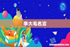 李大毛名言