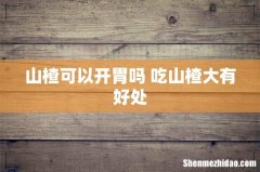 山楂可以开胃吗 吃山楂大有好处