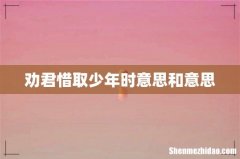 劝君惜取少年时意思和意思