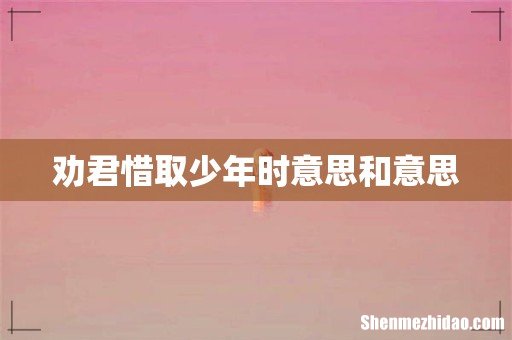 劝君惜取少年时意思和意思