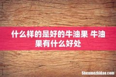 什么样的是好的牛油果 牛油果有什么好处