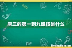 唐三的第一到九魂技是什么