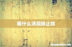 喝什么汤润肺止咳