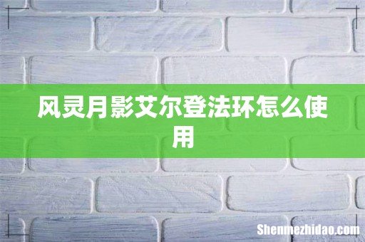 风灵月影艾尔登法环怎么使用
