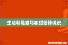 生活就是尝尽酸甜苦辣说说