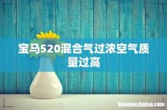宝马520混合气过浓空气质量过高