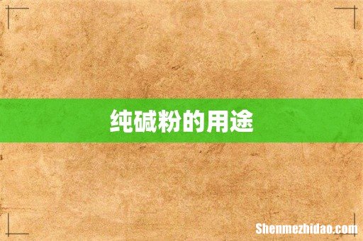 纯碱粉的用途
