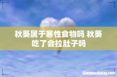 秋葵属于寒性食物吗 秋葵吃了会拉肚子吗