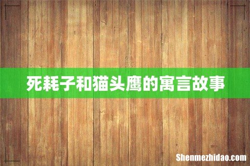 死耗子和猫头鹰的寓言故事