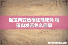 榴莲肉变透明还能吃吗 榴莲肉发苦怎么回事
