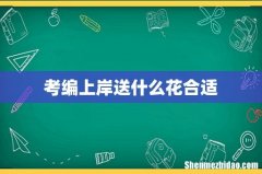 考编上岸送什么花合适