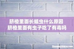 脐橙里面长蛆虫什么原因 脐橙里面有虫子吃了有毒吗