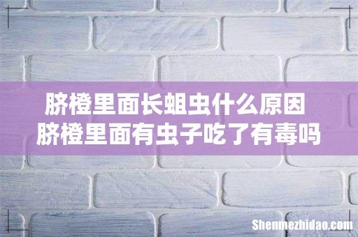 脐橙里面长蛆虫什么原因 脐橙里面有虫子吃了有毒吗