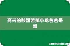 高兴的酸甜苦辣小龙爸爸是谁