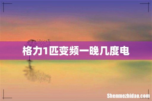 格力1匹变频一晚几度电