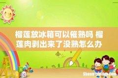 榴莲放冰箱可以催熟吗 榴莲肉剥出来了没熟怎么办