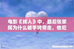 电影《线人》中，最后张家辉为什么被手铐带走，他犯了什么