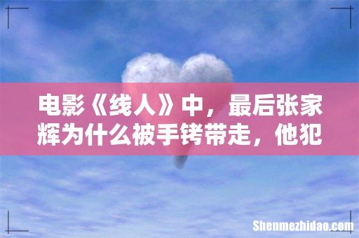 电影《线人》中,最后张家辉为什么被手铐带走,他犯了什么