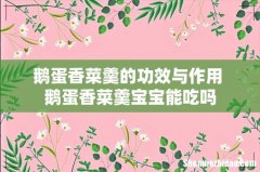 鹅蛋香菜羹的功效与作用 鹅蛋香菜羹宝宝能吃吗