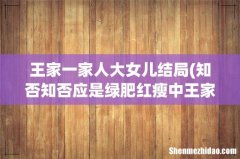 知否知否应是绿肥红瘦中王家结局如何？ 王家一家人大女儿结局