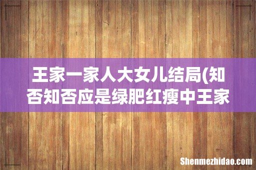 知否知否应是绿肥红瘦中王家结局如何? 王家一家人大女儿结局