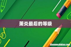 萧炎最后的等级