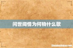 问世间情为何物什么歌