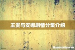 王贵与安娜剧情分集介绍