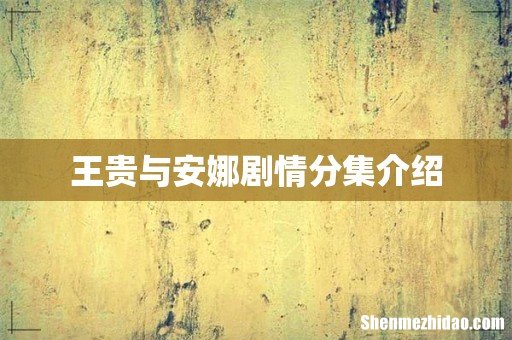 王贵与安娜剧情分集介绍