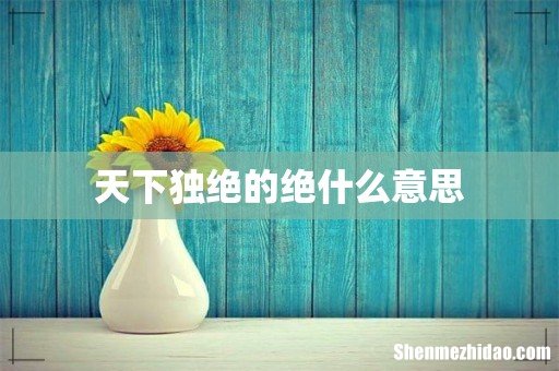 天下独绝的绝什么意思