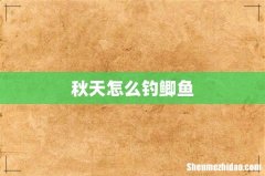 秋天怎么钓鲫鱼