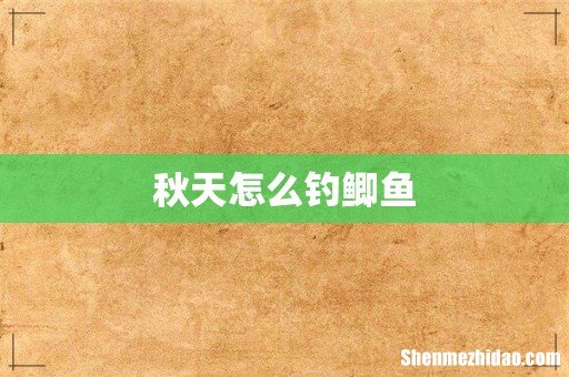 秋天怎么钓鲫鱼
