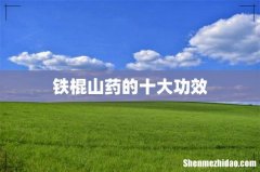 铁棍山药的十大功效