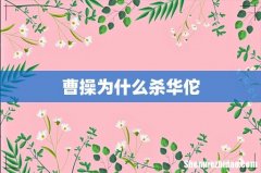 曹操为什么杀华佗