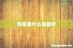 酸菜鱼什么鱼最好